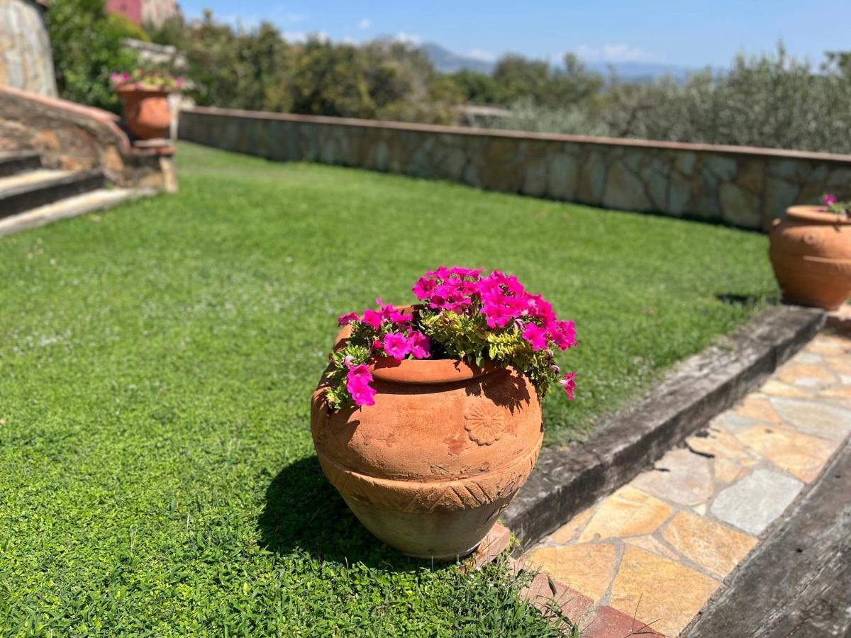 Masia Can Viver - Olive Oil Tourism B&B Bigues I Riells Extérieur photo