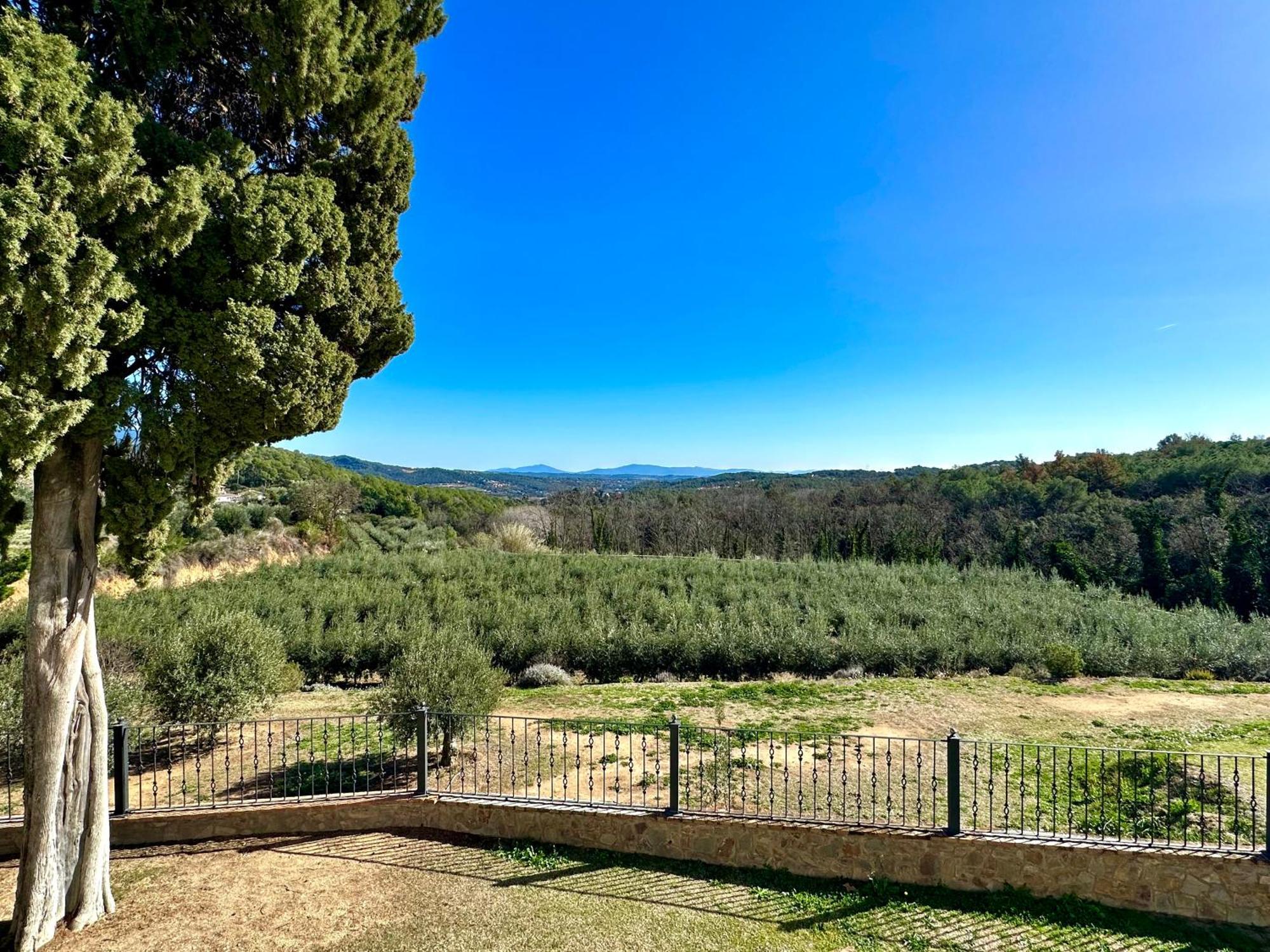 Masia Can Viver - Olive Oil Tourism B&B Bigues I Riells Extérieur photo