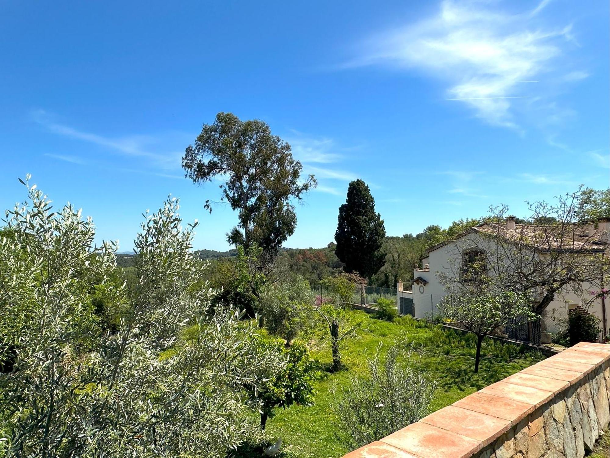 Masia Can Viver - Olive Oil Tourism B&B Bigues I Riells Extérieur photo
